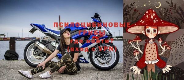 твердый Елизово