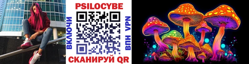 Купить где  Кола  Галлюциногенные грибы Psilocybine cubensis 